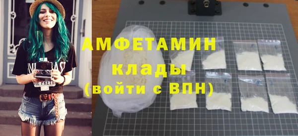 СК Ельня
