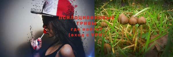 СК Ельня