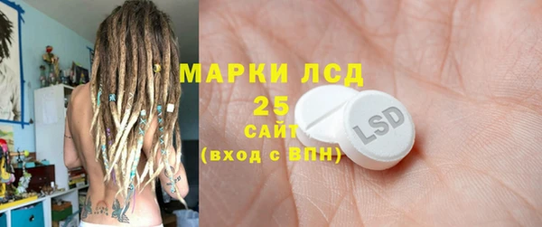 СК Ельня
