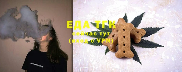 СК Ельня