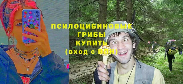 СК Ельня